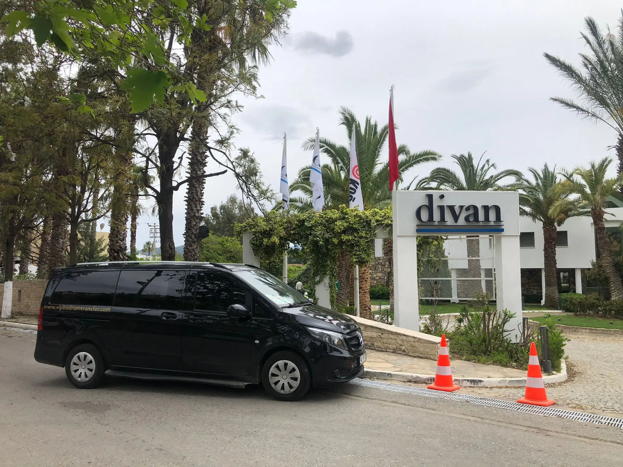 Transfer Vip